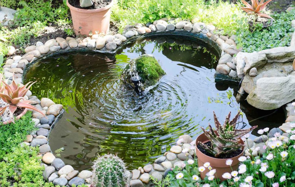 Eco-home pool