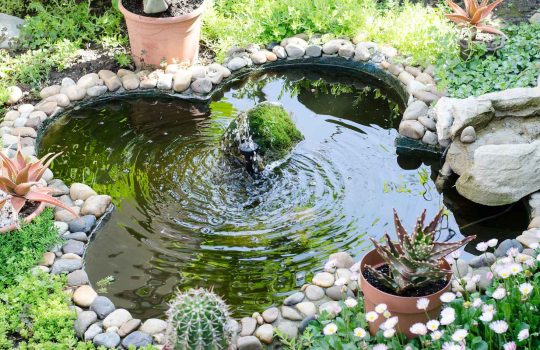 Eco-home pool2